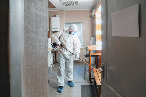 Best Forensic Mold Investigation  in Hartley, CA