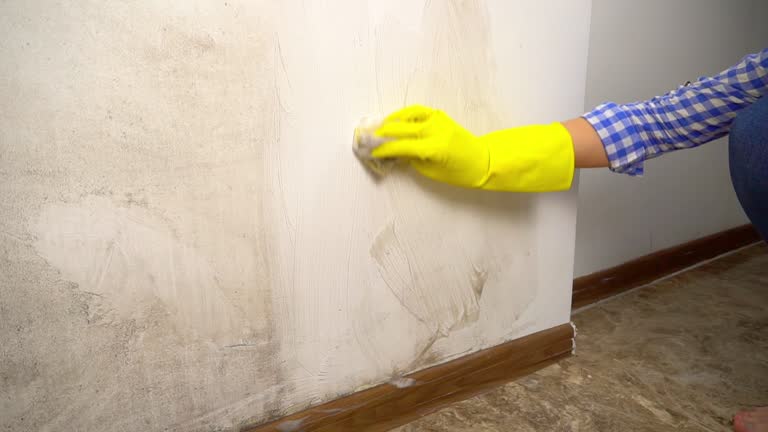 Best Basement Mold Removal  in Hartley, CA